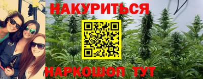 гашик Будённовск