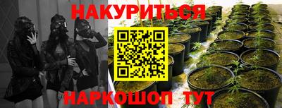 гашик Будённовск