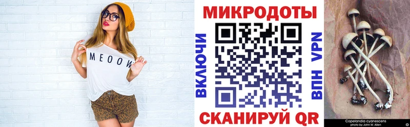Галлюциногенные грибы Psilocybine cubensis  купить наркотик  Камышин 