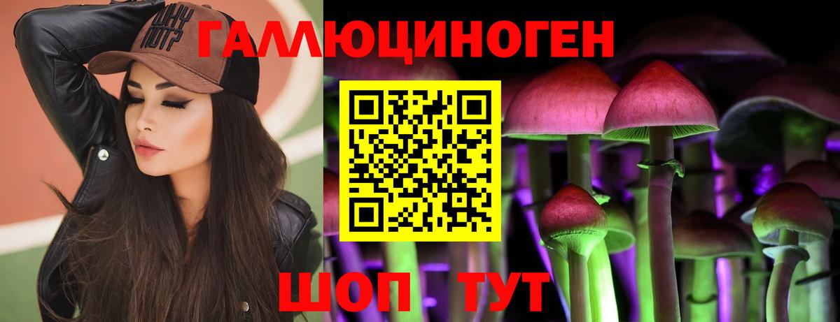 Псилоцибиновые грибы прущие грибы  Псилоцибиновые грибы Psilocybe  Вход с VPN  Камышин 