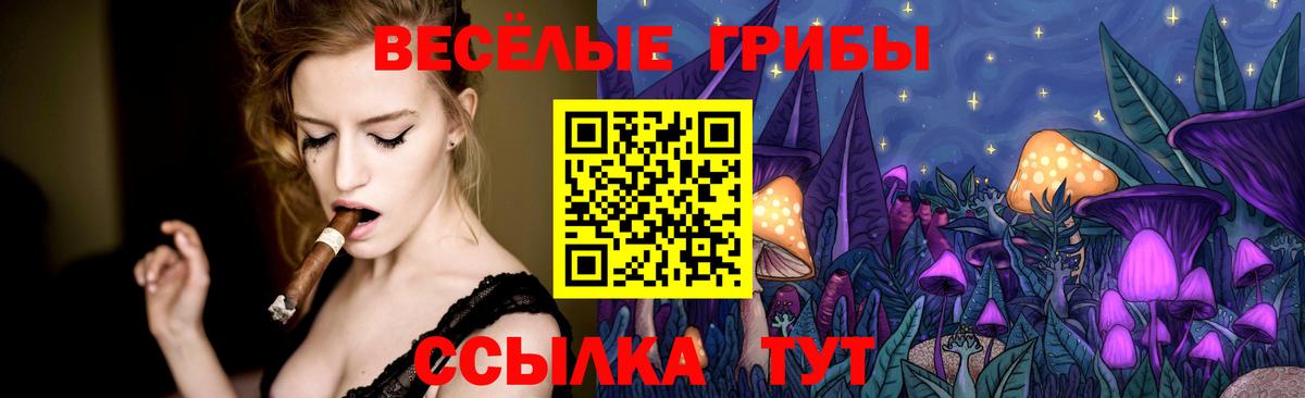 Псилоцибиновые грибы ЛСД Камышин